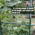 Trellis Netting, Heavy-Duty Garden Grow Netting for Climbing Plants, Outdoor Indoor Net for Cucumber, Tomatoes, Beans, Clematis, Fruits & Vegetabl...