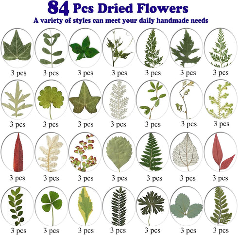 LUCISKY 84 Pcs Dried Leaves Pressed Flowers for Resin Molds, Real Natural Assorted Dry Greenery for Leaf Craft DIY, Jewelry Making, Decoration Sup...