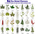 LUCISKY 84 Pcs Dried Leaves Pressed Flowers for Resin Molds, Real Natural Assorted Dry Greenery for Leaf Craft DIY, Jewelry Making, Decoration Sup...