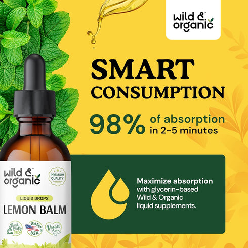 Lemon Balm Tincture - Organic Lemon Balm Liquid Extract - Lemon Balm Herb Drops - Vegan, Alcohol Free Supplement - 2 fl oz...