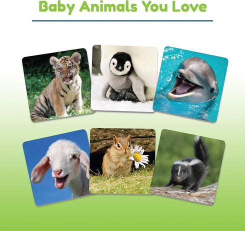 Wonder Forge Baby Animals Matching Game - Engaging Memory Booster | Age 3 to 5 | Fast-Paced, Fun & Educational | Ideal Gift for Easter...