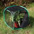 RESTCLOUD Insect and Butterfly Habitat Cage Terrarium Pop-up 12 X 12 X 12 Inches...