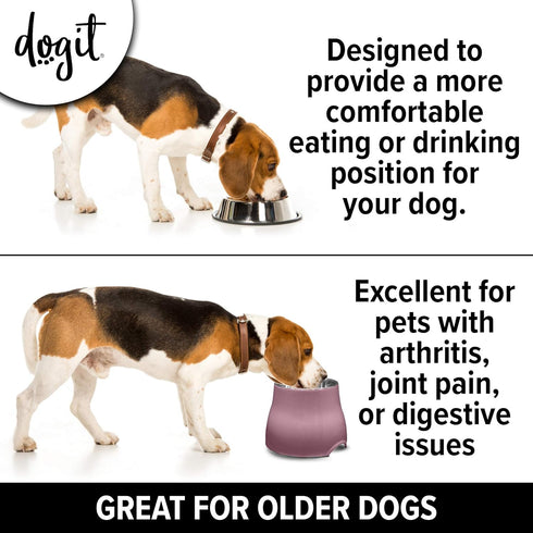 Dogit Elevated Dog Bowl, Stainless Steel Dog Food and Water Bowl for Small Dogs, Pink, 73742...