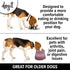 Dogit Elevated Dog Bowl, Stainless Steel Dog Food and Water Bowl for Small Dogs, Pink, 73742...