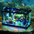 YEABRICKS LED Light for Lego-31122 Creator 3-in-1 Fish Tank Building Blocks Model (Lego Set NOT Included)...