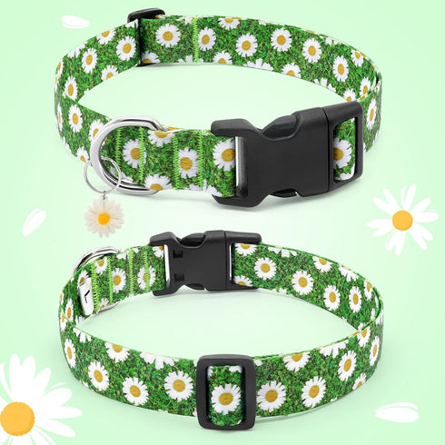 BiPawTi Green Dog Collar for St. Patrick's Day, Cute Flower Puppy Collar for Extra Small Dog, Floral Spring Dogs Collar for Small Dogs with Pretty...
