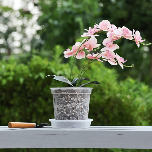 TRUEDAYS 4 Pack Orchid Pot with Saucers, 6 Inch Clear Orchid Pots with Holes, Plastic Planter with Trays, Breathable Slotted Orchids Planters for ...