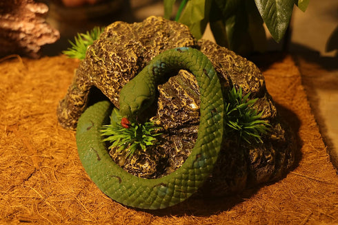 AQUA KT Reptile Cave Hide Natural Hiding Place for Terrarium Amphibian Lizard Snake Bearded Dragon Frog Leopard Terrestrial Gecko Cave...