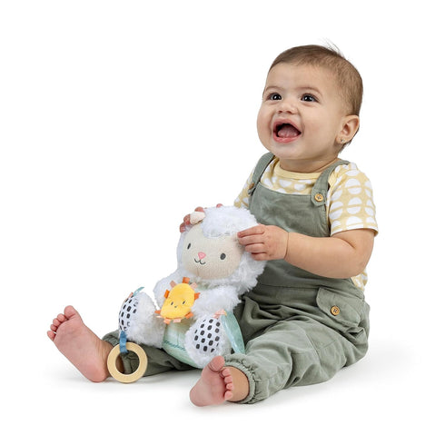 Ingenuity Calm Springs Plush Activity Pal BPA-Free Cloud Teether, Multi-Texture Fabrics, Sheppy...
