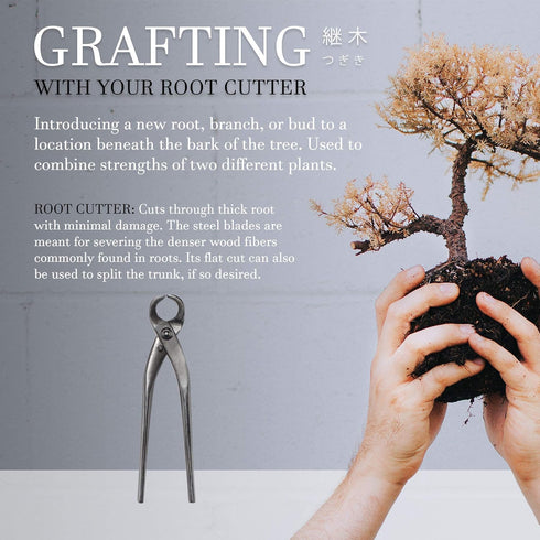 BambooMN 7.5" Root Cutter Tool - 1 Piece...