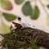 AUEAR, 4 Pack Bird Decorative Figurines Mini Fake Parrot Ornaments Simulated Parakeet Model for Home Garden Decoration...