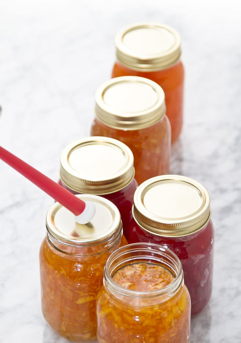Prepworks by Progressive Magnetic Lid Lifter for Canning...