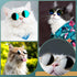 Dog Sunglasses Retro Pet Glasses Doll Glasses Classic Round Dog Glasses Metal Cat Puppy Eye Wear Hippie Costumes for Cats and Dogs, Photos Props C...