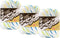 Sugar'N Cream Yarn - Ombres-Summer Print......