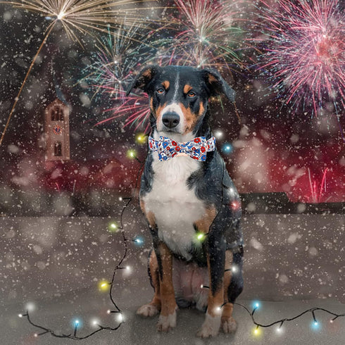 Elegant little tail Independence Day Dog Collar, 4th of July Patriotic Bowtie Dog Collars Holiday Pet Gift Adjustable Soft Puppy Collar for Medium...