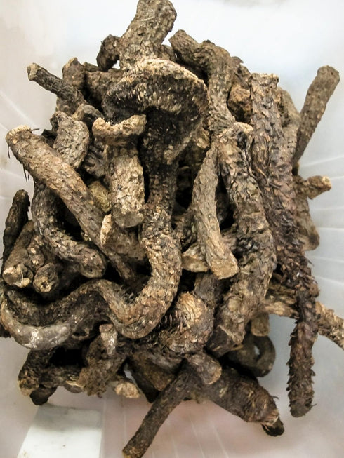 Dragon Herbs - Return to Youth Capsules ( Huan Shao Dan ) - 100 Capsules, 500 mg each...