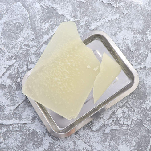 UKCOCO Wax Dissection Tray - Stainless Steel Dissecting Tray Biological Laboratory Equipment for Junior Senior School (18x25cm)...