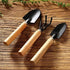 Garden Tool Set - Minature Steel Gardening Hand Tools Kit with Ergonomic Wooden Handles | Includes Trowel, Transplanter, Cultivator | Perfect Gard...