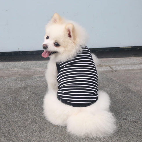 Classic Striped Teacup Pet Dog T-Shirts, 100% Cotton Tank Vest for Small Dogs, Sleeveless Puppy Clothes for Chihuahua Yorkie Black, Small...