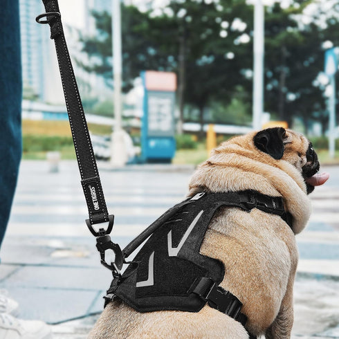 OneTigris BOLT Short Traffic Dog Leash for Small Medium Large Dogs(Black,M)...