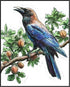 Posterizer 1 pcs-detailed natural history illustration of a raven-Corvus corax 3-Art for Animal Lovers-Gift for Men Women Teens-Chic Home Decor- u...