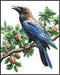 Posterizer 1 pcs-detailed natural history illustration of a raven-Corvus corax 3-Art for Animal Lovers-Gift for Men Women Teens-Chic Home Decor- u...