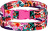 Nature Dog Collar Travel Pattern Adjustable Nylon Pet Collars for Small Medium Large Dogs Puppy Designer Print (Japan, Neck Fit 14"-18")...