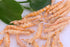 Premium Freeze-Dried Krill & Shrimp Mix - Ideal for Arowana, Koi, Tropical Cichlids, and Turtles - High-Protein Floating Aquarium Food (2000ml)...