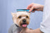 Pets First 2 Pack Dog Comb Small & Large PET Comb for Small & Large Breeds & Areas. Premium Anti-Slip Comfort Grip Ergonomic Handle for Your Dog &...