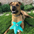 SmartPetLove Tender-Tuffs Easy Grab - Small Squeaky Soft Plush Starfish Dog Toy - Great for Puppies and Adult Dogs...