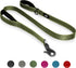 TwoEar 5FT 1IN Strong Green Dog Leash with 2 Padded Handles, Traffic Handle Extra Control, Comfortable Soft Dual Handle, Auto Lock Hook, Reflectiv...