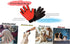 Grooming Gloves for Dogs and Cats - 259 Soft Silicone Tips - Five finger design Massage Mitt - Skin-Friendly and Gentle Massage - Perfect for Shed...