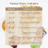 Cookie Bags 200PCS Self Sealing Cellophane Bags 4X6 Inches Small Sealable Clear Plastic Bags with Seal for Gift Giving, Packaging Candy, Snack, Tr...