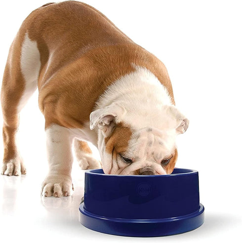 K&H Pet Products Coolin' Pet Bowl Cooling Dog Bowl Pet Water Dish for Large Medium Small Breed Dogs & Cats, Indoor/Outdoor Insulated Ice Cold Dog ...