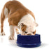 K&H Pet Products Coolin' Pet Bowl Cooling Dog Bowl Pet Water Dish for Large Medium Small Breed Dogs & Cats, Indoor/Outdoor Insulated Ice Cold Dog ...