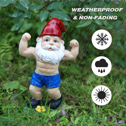 Funny Workout Garden Gnomes Statues 6.2 Inches Outdoor Muscular Fitness Naughty Gnomes Decorations for Yard, Lawn, Patio, Indoor Gnome Figurine fo...