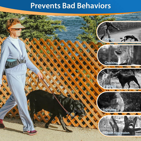 BARKLESS Soft Dog Head Collar, No Pull Training Tool for Small Medium Large Dogs on Walks, Gentle Training Collar and Control for Heavy Pullers, i...