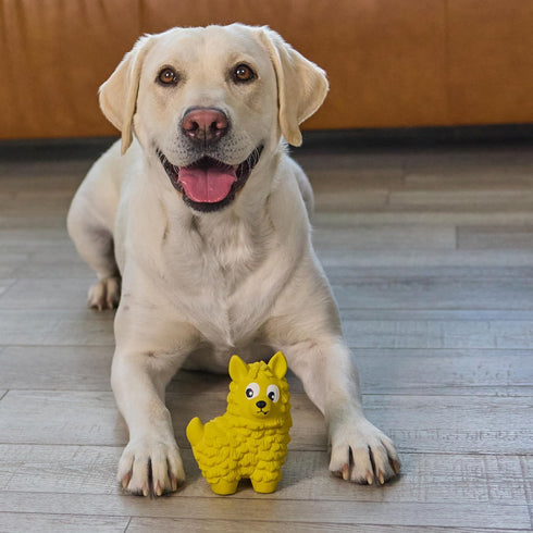 Outward Hound Tootiez Llama Grunting Latex Rubber Dog Toy, Large, Yellow...