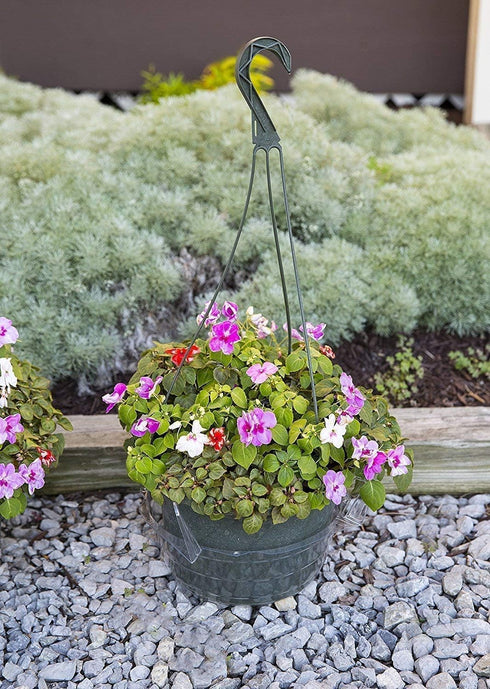Curtis Wagner Plastics Hanging Basket Drip Pan, Clear, 12 Inch...