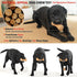 Dog Chew Toys Pine Wood and Nylon Tough Dog Toys for Aggressive Chewers Real Bacon Indestructible Dog Toys to Keep Them Busy...