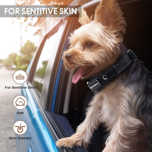 AirTag Dog Collar,IP68 Waterproof Case AirTag Dog Collar,Triple Anti-Lost,Wear-Resistant and Anti-Collision AirTag Collars,Reflective AirTag Pet C...