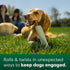 Earth Rated Dog Toy, Enrichment Toy for Adult and Puppy Dogs, Dishwasher and Freezer-Safe, Natural Rubber, Large, Green...