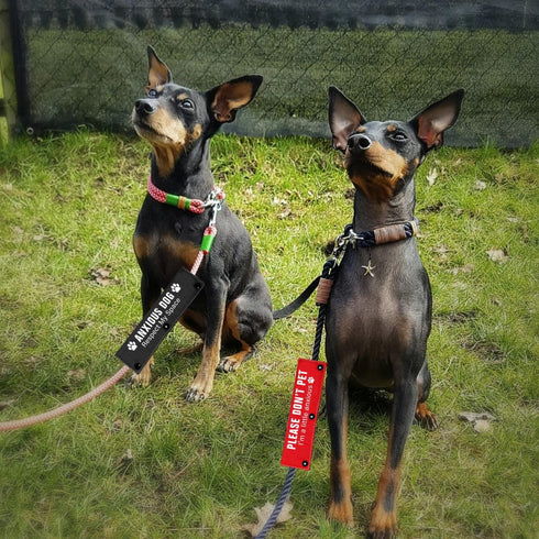 Please Don’t Pet/Anxious Dog Friendly Dog Leash Sleeve 2 Set - Dog Leash Wrap for Rescue Dogs and Anxious Dogs - Includes Red and Black 2 Sleeves ...