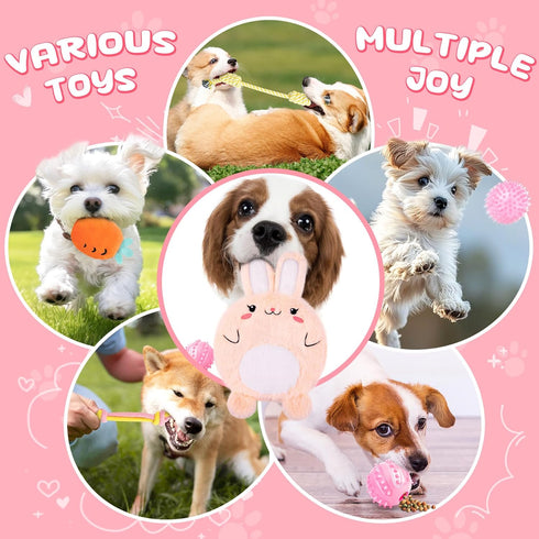 Pink Puppy Toys - 9 Pack Puppy Chew Toys for Teething, Interactive Dog Toys for Puppies, Small Dog Toys with Squeaky Toys, Treat Ball and Ropes...