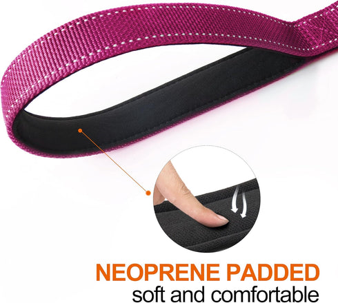 TwoEar 4FT 1IN Strong Rose Dog Leash with 2 Padded Handles, Traffic Handle Extra Control, Comfortable Soft Dual Handle, Auto Lock Hook, Reflective...