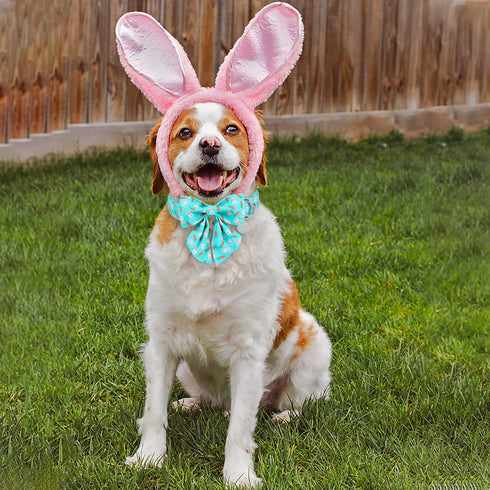 Easter Dog Collar with Bow Tie, Cotton Easter Bowtie Collar for Large Girl Boy Dog, Cute Carrot Pet Collar with Metal Buckle, Easter Day Gift Rabb...