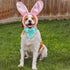 Easter Dog Collar with Bow Tie, Cotton Easter Bowtie Collar for Large Girl Boy Dog, Cute Carrot Pet Collar with Metal Buckle, Easter Day Gift Rabb...