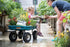 CP3-12 3-Inch CowPots, 12-Pack...