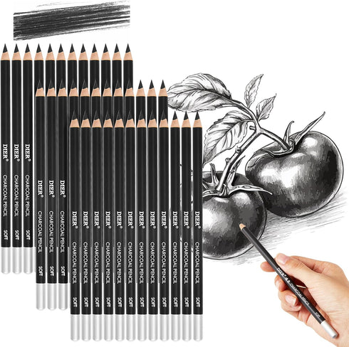 Geyoga 36 Pcs Professional Charcoal Pencils Soft,medium and Hard for Drawing Charcoal Pencils Drawing Set Drawing Pencils for Sketching Shading Dr...