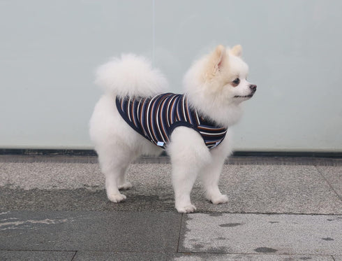 Striped Teacup Pet Dog T-Shirts, 100% Cotton Tank Vest for Small Dogs and Cats, Sleeveless Puppy Clothes for Chihuahua Yorkie Blue Black, Small...